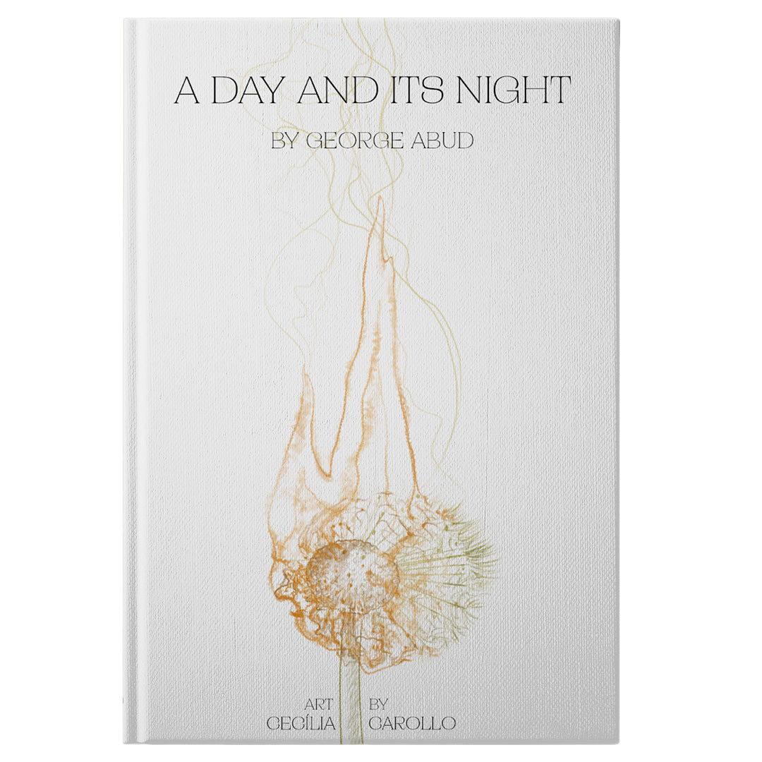 A Day and Its Night (Paperback)