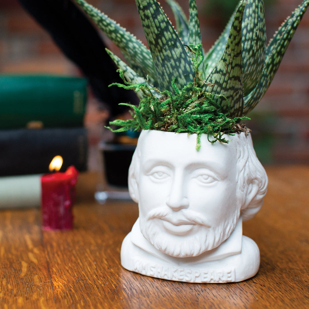 Shakespeare Fertile Minds Ceramic Planter Pot