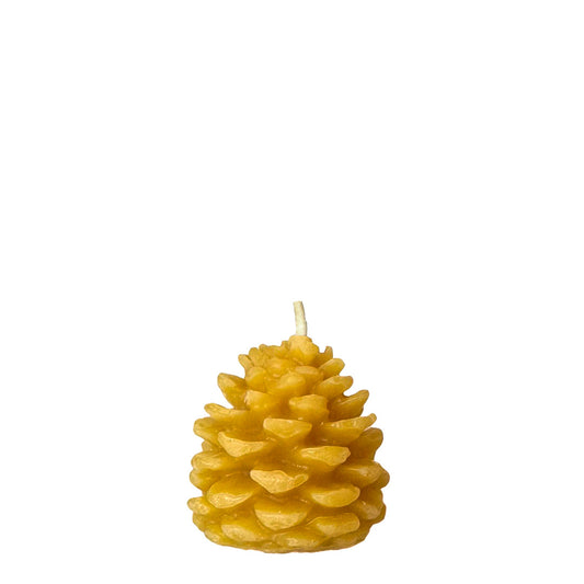 Slow Burn Candle – Pinecone Small