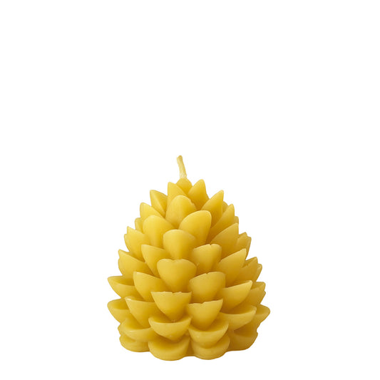 Slow Burn Candle – Pinecone Medium