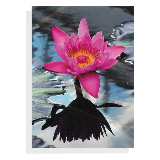 Regina Marie Williams Notecard – Pink Water Lily