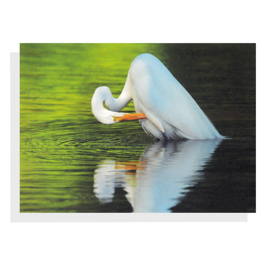 Regina Marie Williams Notecard – White Bird